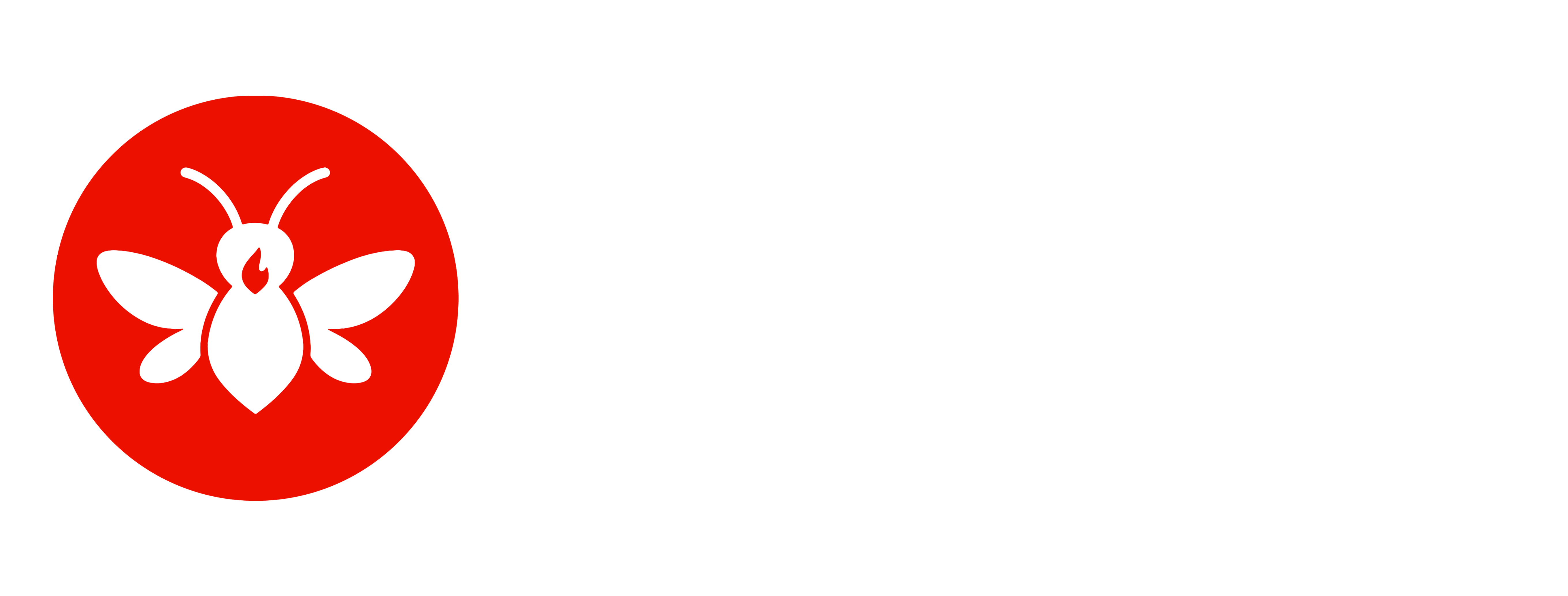AutoFly Firefly Bulk Image Generator